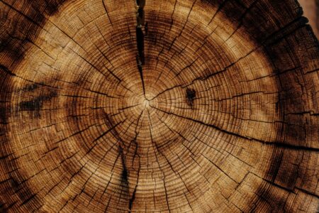 Holz als Produktionsmaterial: Vielseitigkeit in der Industrie