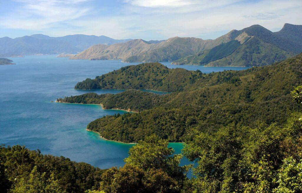 Unberührte Landschaft Neuseelands mit grünen Hügeln und blauem Wasser als Symbol für den Manuka Honig Ursprung